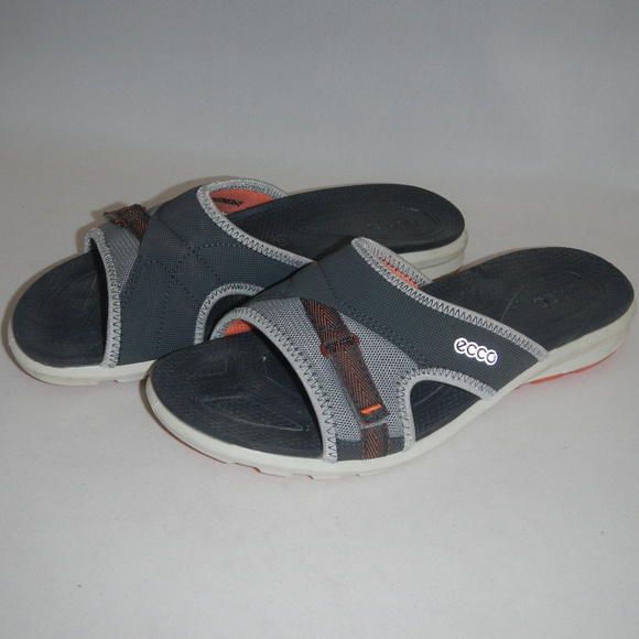 ecco slides
